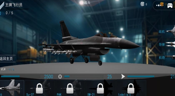 王牌空战精英手机版下载图片1