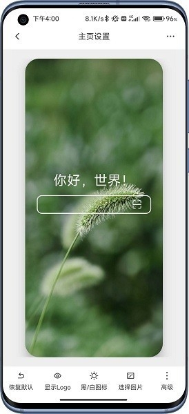 b仔浏览器下载官方版