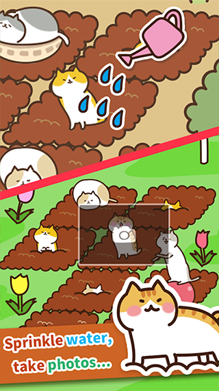 猫咪田园正版